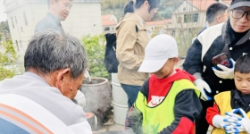 五一漫游茶山深处｜厦门军营村高山茶园采茶之旅