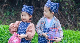 厦门军营村采茶制茶亲子研学活动 | 指尖摘绿色，炭火焙乡愁 ...