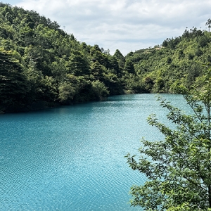 厦门军营村：山林间的团建欢歌